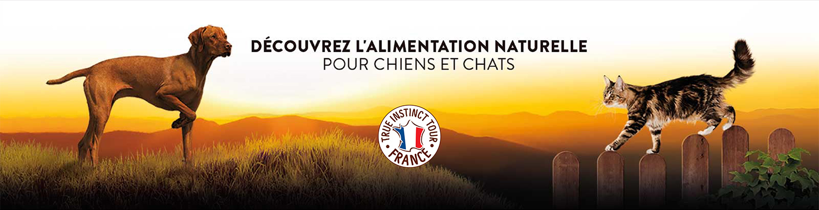 banniere-true-instinct-animapattes banniere-true-instinct-animapattes