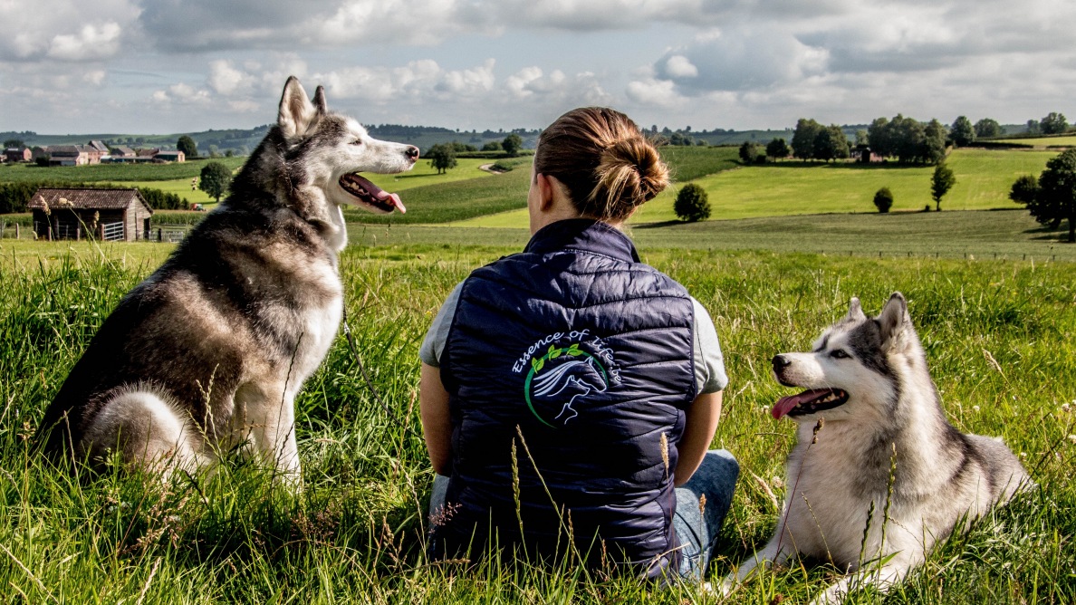 Essence of Life, gamme de produits de soins naturels pour chiens et chats