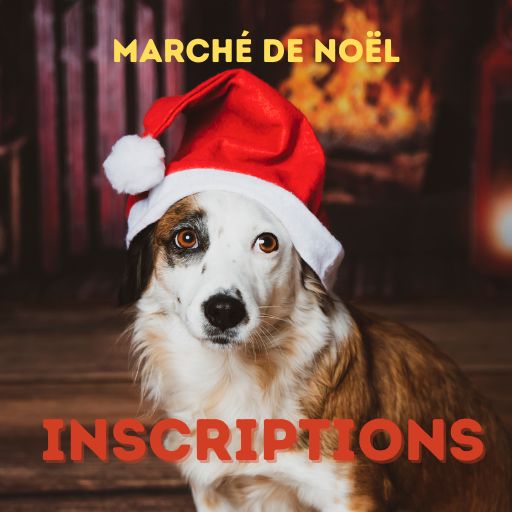 Anima Pattes inscriptions marché Noel 2025