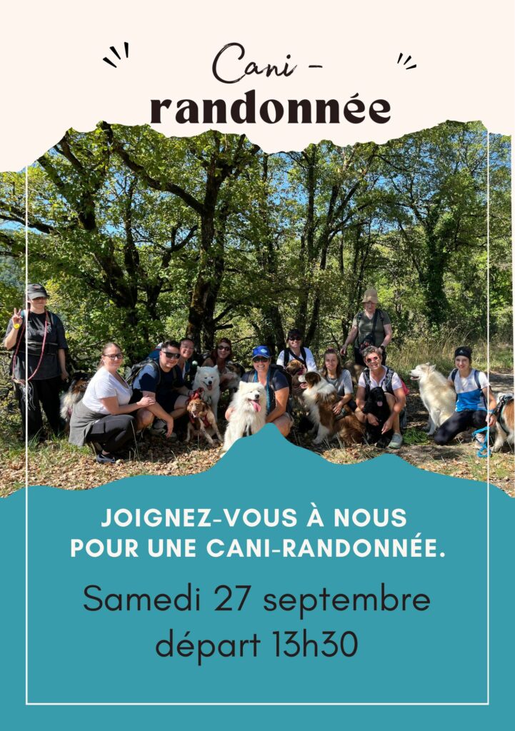 Randonnée pour chien dans le Tarn, septembre 2025